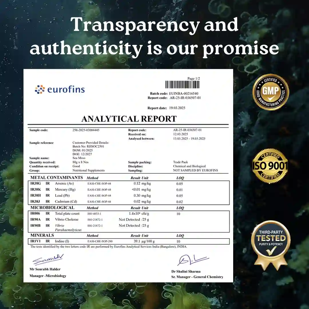 Mars Natural Sea Moss Caps: Powered with Ashwagandha, Black Seed, & Vitamin D3 - Image 5