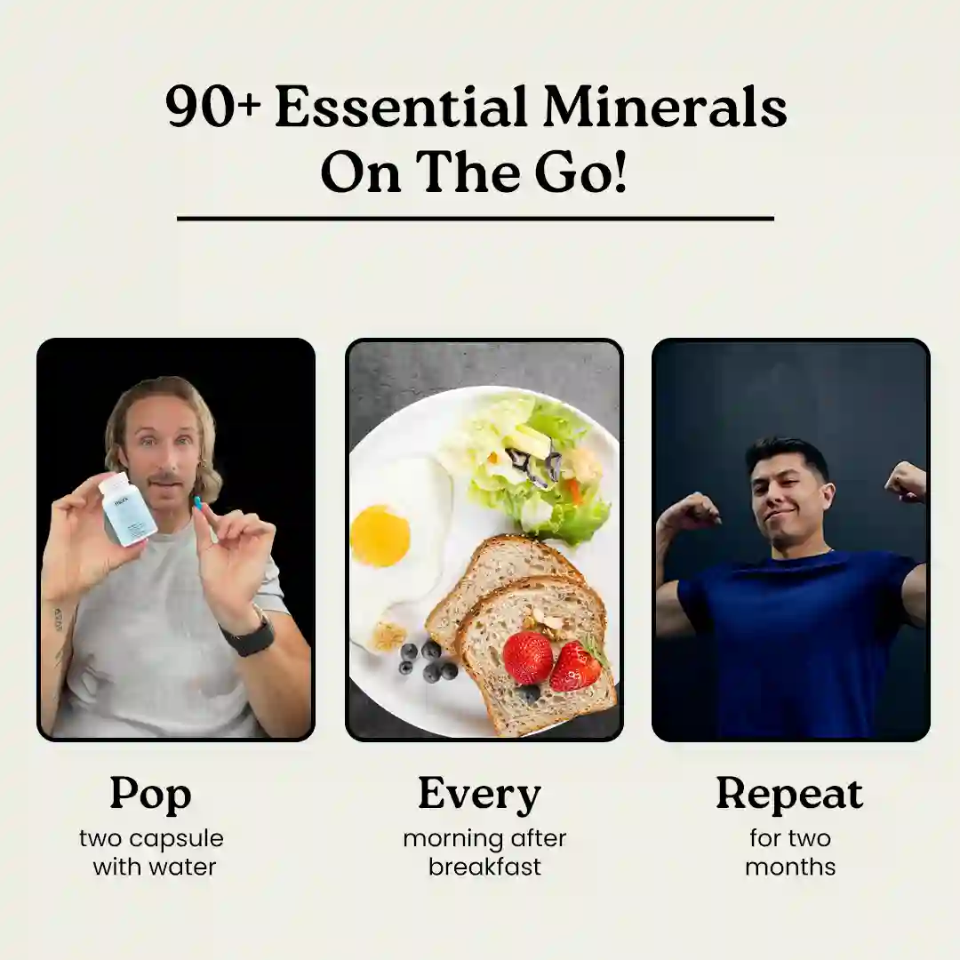 Mars Natural Sea Moss Caps: Powered with Ashwagandha, Black Seed, & Vitamin D3 - Image 7