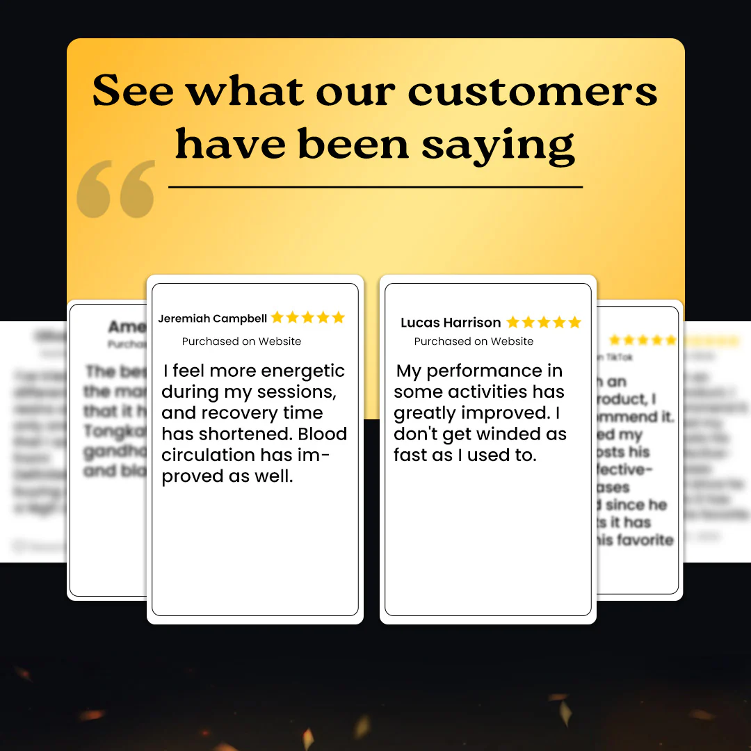 Mars Pure Himalayan Shilajit (Resin) - 15g - Image 10