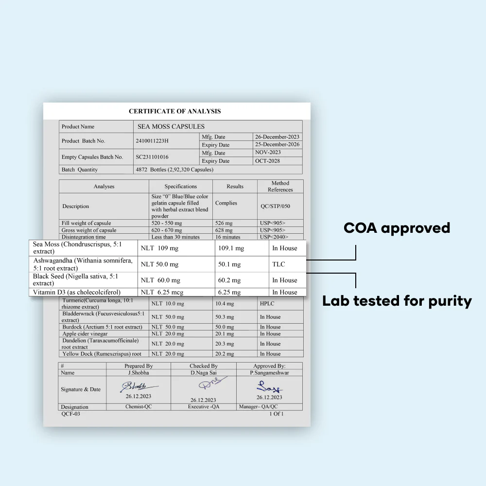 Power Surge Combo: Natural Ashwagandha & Natural Sea Moss Capsules - Image 3