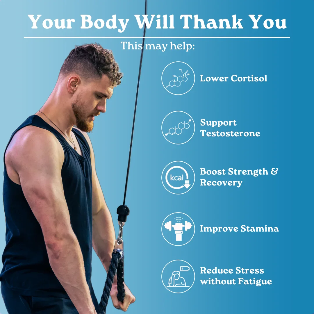 Mars Surge Max: A Natural Testosterone Support With Ashwagandha & Shilajit (60N) - Image 6