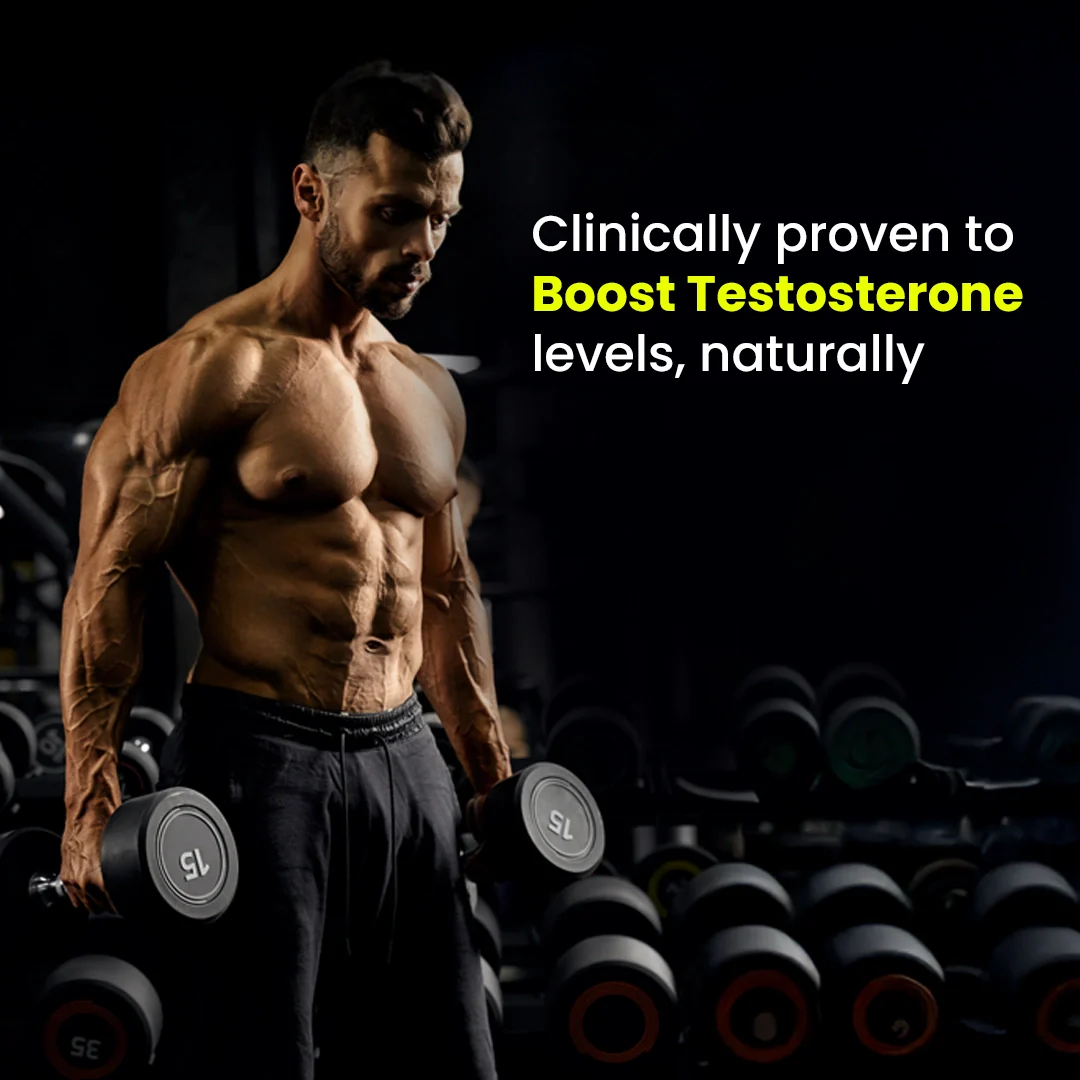 VitaSteron : Powered for Testosterone Levels, Muscle Gains & Overall Male Vitality - Image 5