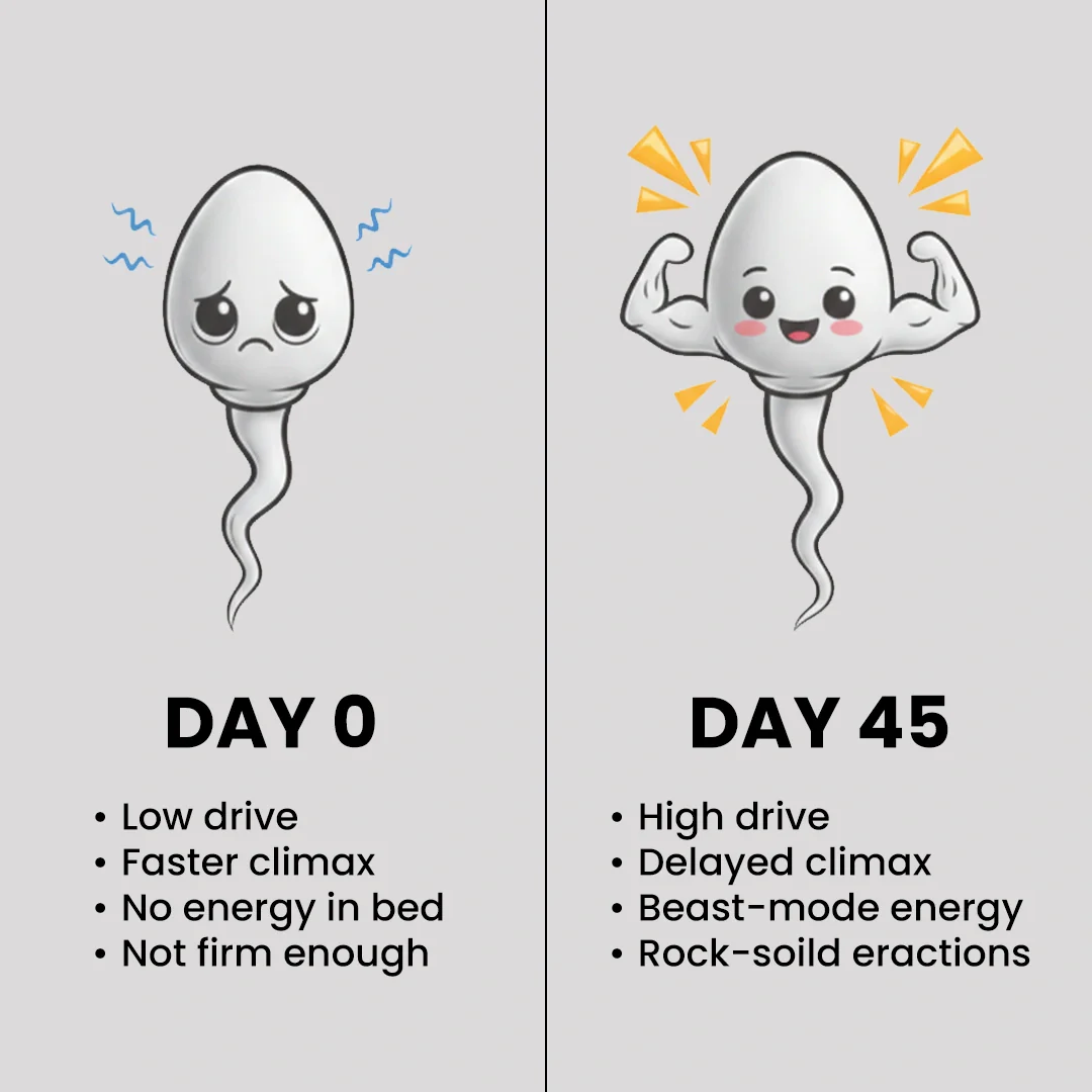 VitaSteron : Powered for Testosterone Levels, Muscle Gains & Overall Male Vitality - Image 9